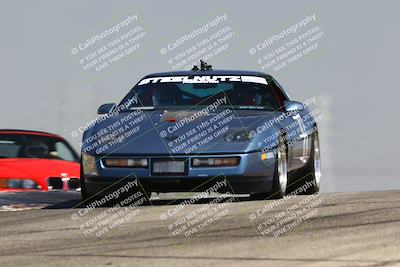 media/Jul-26-2025-Speed Ventures (Sat) [[fe569e6cf0]]/Purple Group/Grapevine/